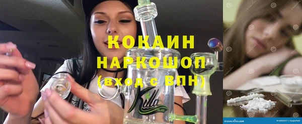 шишки Белоозёрский