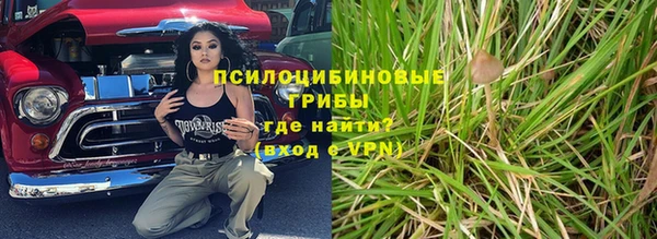 шишки Белоозёрский