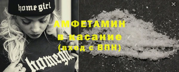 шишки Белоозёрский