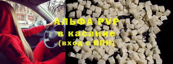шишки Белоозёрский