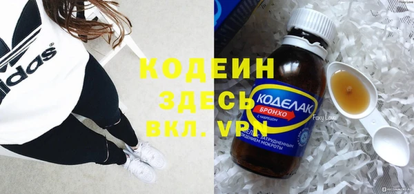 шишки Белоозёрский
