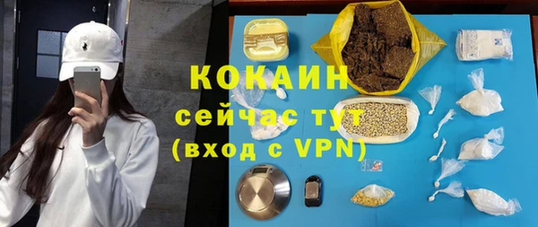 ешки Белокуриха