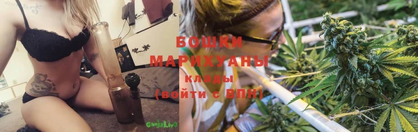 шишки Белоозёрский