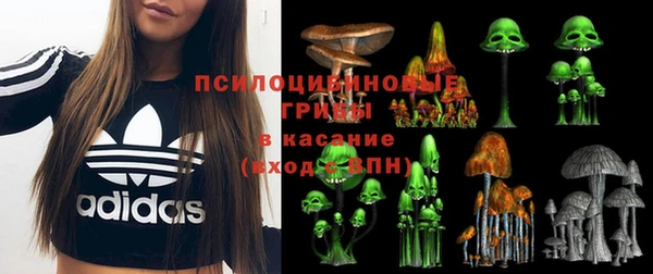 ешки Белокуриха